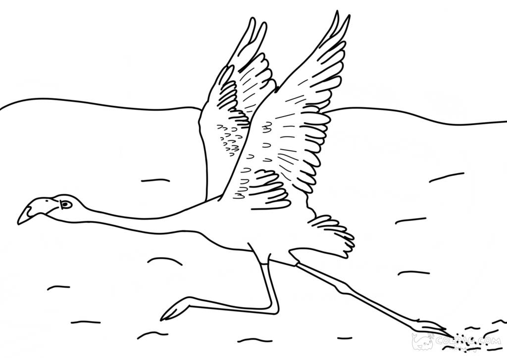 Coloriages de flamants roses à imprimer en ligne