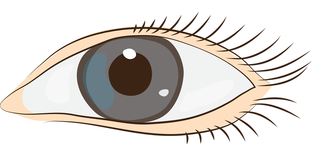 Eyes,sight,face,clip art,graphics - free image from needpix.com