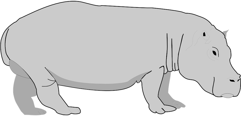 Cartoon_ Hippopotamus_ Graphic PNG image