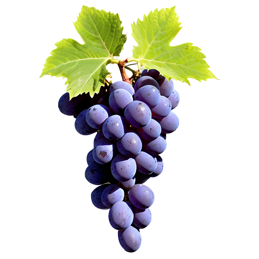 Grape Background Png Jcj85 PNG image