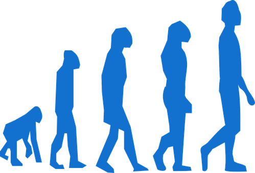 Human_ Evolution_ Sequence PNG image