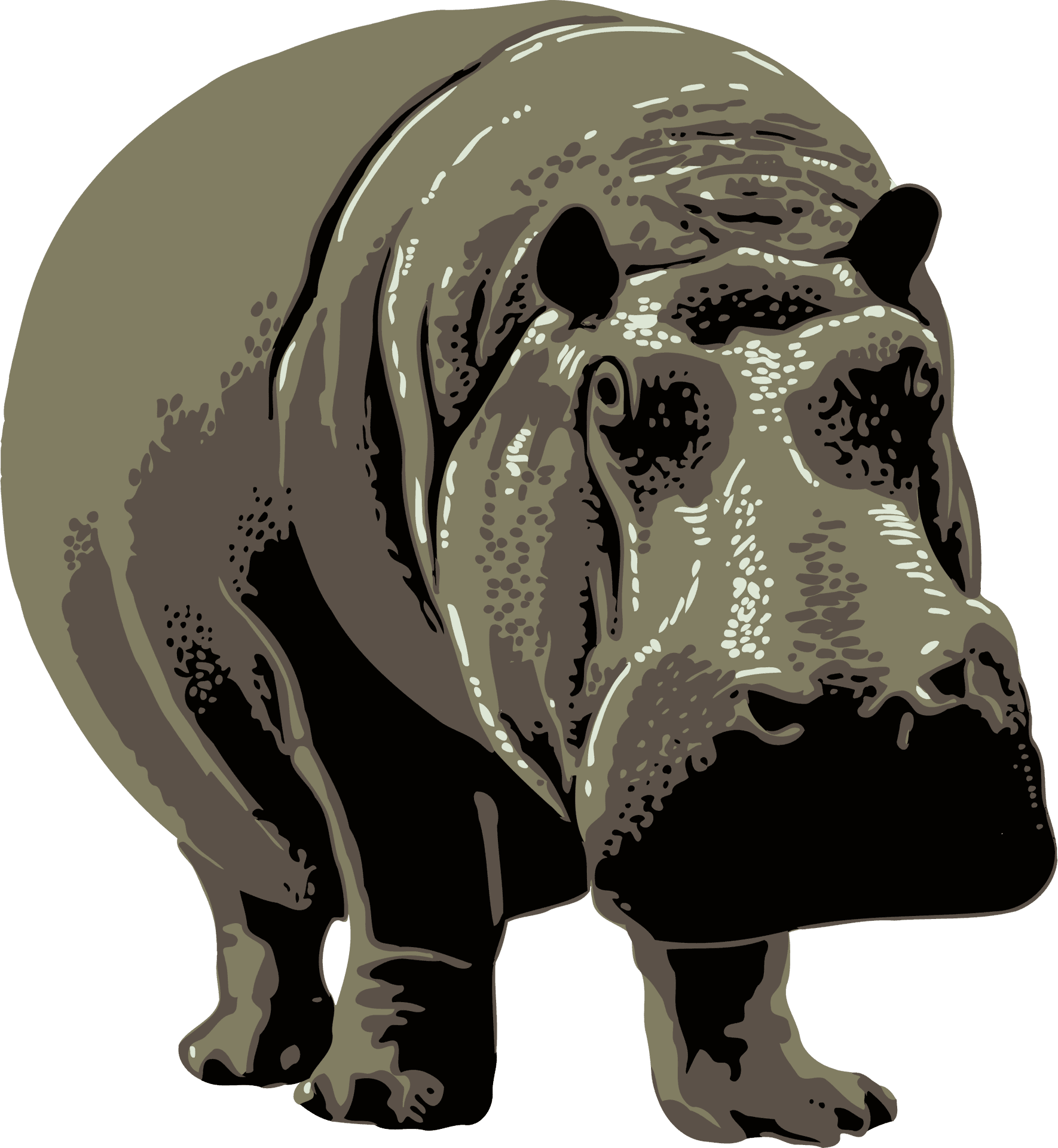 Stylized Hippopotamus Illustration PNG image