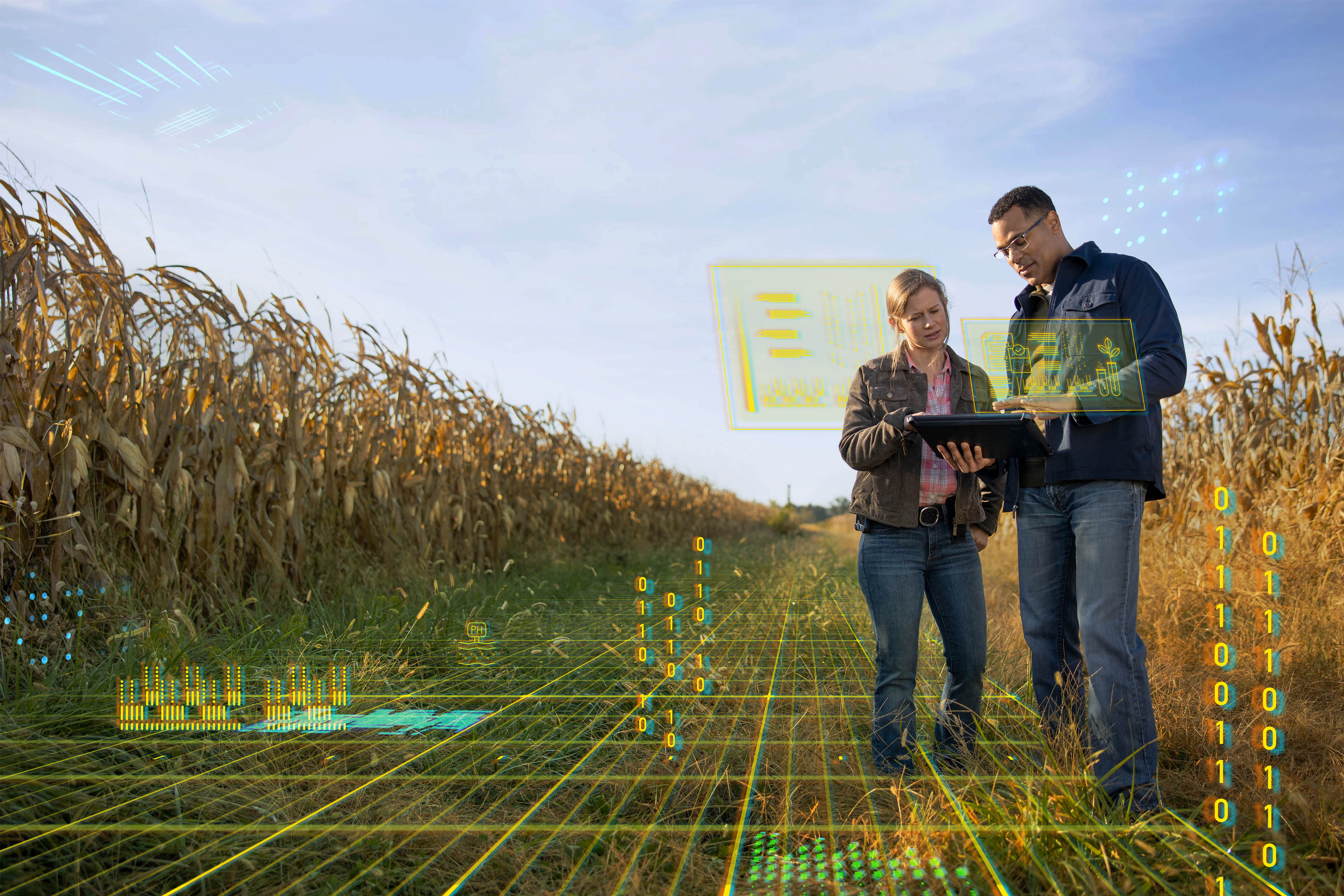 Plant experts reviewing data in a cornfield