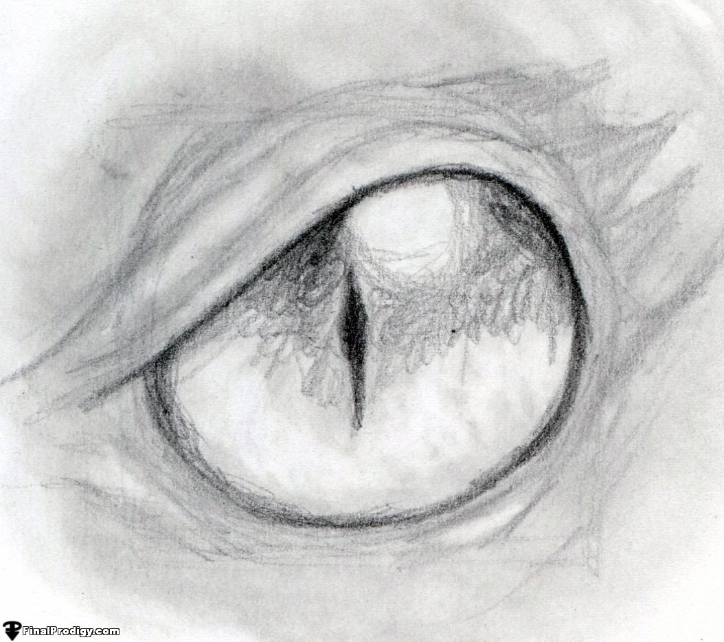 Dragon Eye Drawings