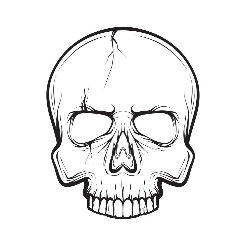 outline skull, black and white vector illustration