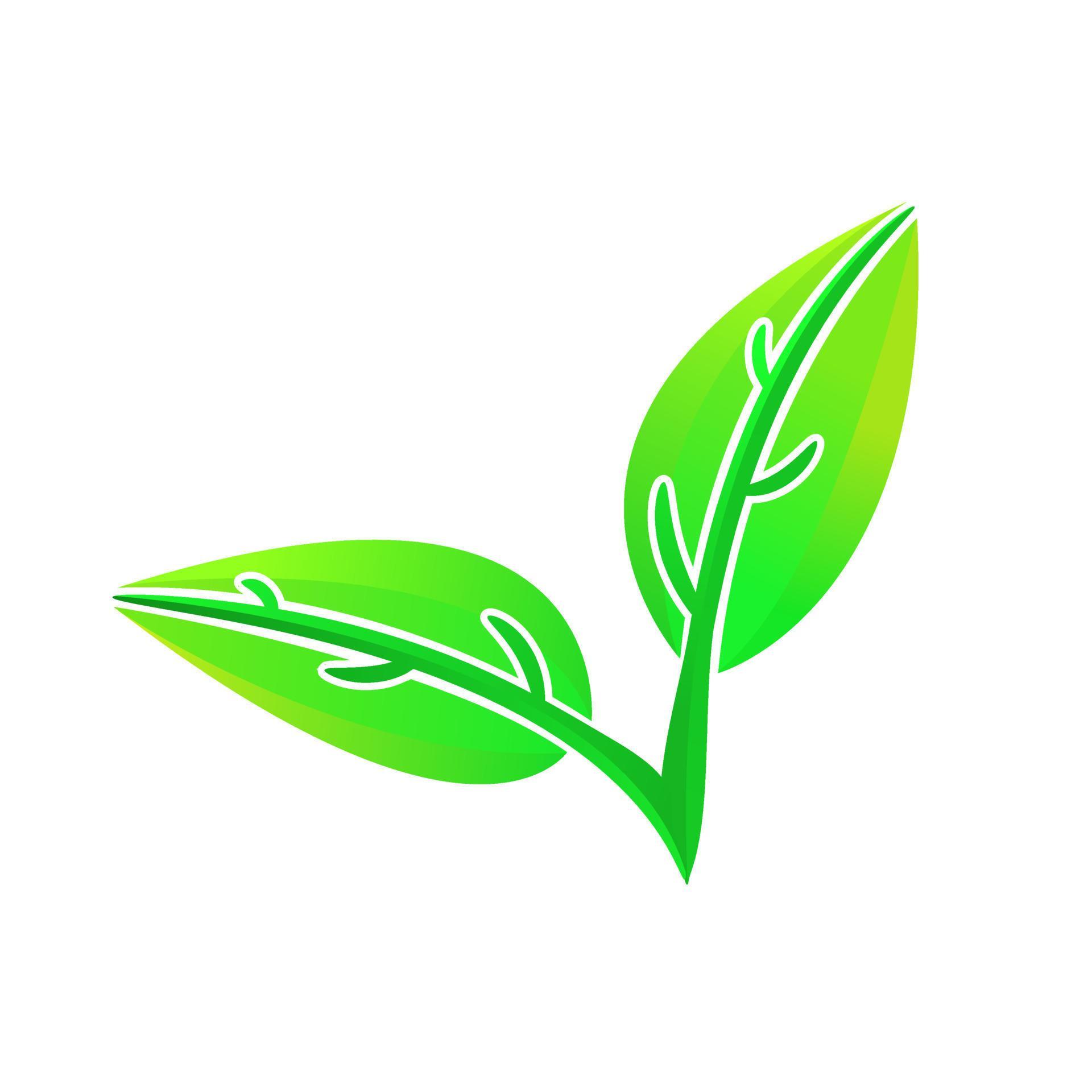 simple illustration of leaf shoots on isolated background 7570315 ...