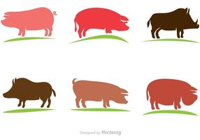 Vector Pig Set