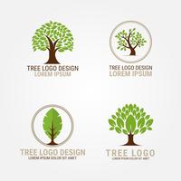 Tree Logo Vector Collection