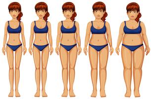 Woman Body Transformation on White Background vector