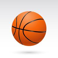 Realistic  Basketball Vector