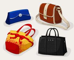 Collection of classic woman's bags vector