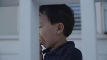 câmera lenta de menino comendo lanche video