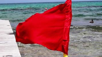 Red warning flag waving on the beach  video