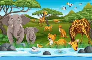 Wild animals in the jungle vector