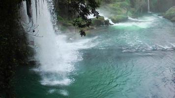 cascada en una naturaleza salvaje video