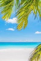 Beautiful tropical beach with palm leaves photo