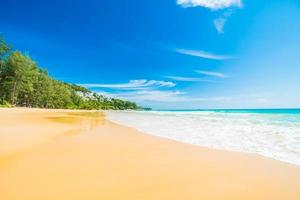 Beach and sea photo