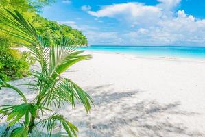 Beautiful tropical beach background photo