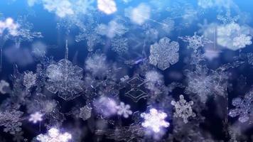 Christmas Snowflakes Falling - Loop video