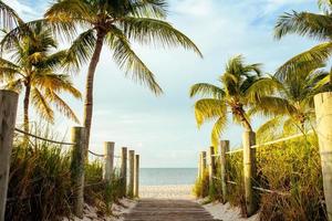 A wooden walk way to the beach. photo