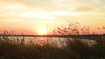 Picturesque slope of the sea coast on a warm summer day video