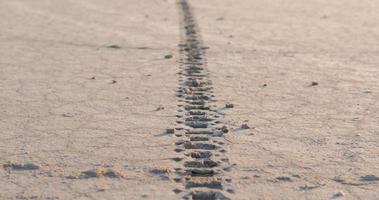 POV OF MOTORCYCLE TRACKS IN THE DESERT video