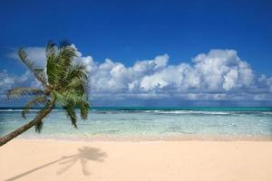 Perfect Beach in Hawaii photo