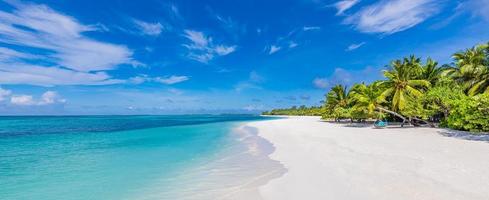 Beach nature concept. Palm beach in tropical idyllic paradise island. Exotic landscape for dreamy and inspirational summer scenery use for background or wallpaper photo