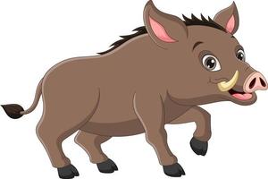 Wild boar cartoon on white background vector