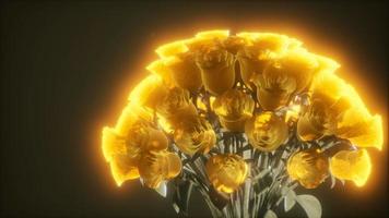 roses in the dark with light video