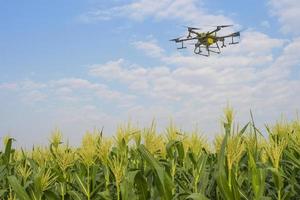 Agriculture drone flying and spraying fertilizer and pesticide over farmland,High technology innovations and smart farming photo