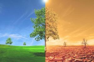 landscape with dry earth, Meadow Global warming concept. photo