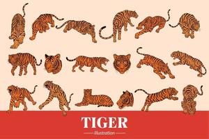 Set Mega Collection Bundle Tiger beast face wild poses isolated cartoon clipart illustration vector