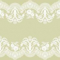 Seamless white floral lace pattern vector