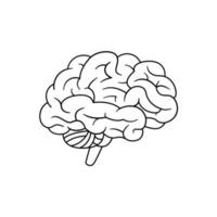 Human brain icon vector isolated