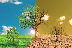 Global warming concept image showing the effects of dry land photo