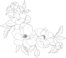 doodle line art peony flower bouquet elements png