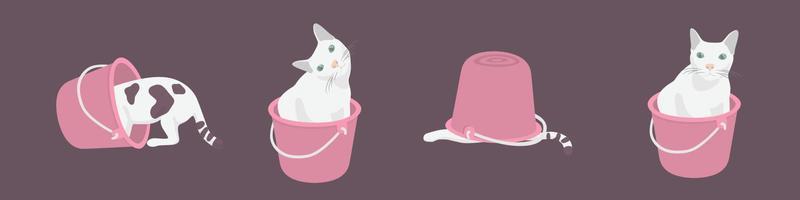 four fat cat confused in Bucket background Pink vector