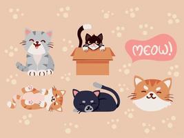 set of cute cats vector