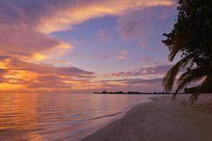 Tropical beach sunset photo