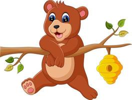 illustration of cute baby bear cartoon vector