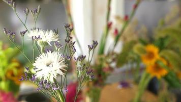 Florist arranges flowers for bouquet video