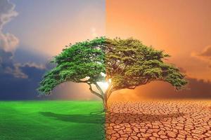 Comparative picture between drought, global warming effect and refreshing area. The concept of changing brushes. Love the world. Save the environment. photo