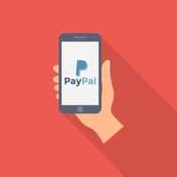 pago paypal de moda vector