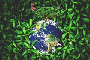 Net-zero Emission Concept. Love the Earth, Save the Environment photo