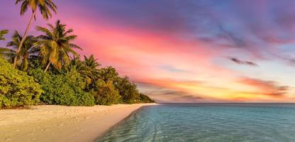 Beautiful panoramic sunset tropical paradise beach. Tranquil summer vacation or holiday landscape. Tropical sunset beach seaside palm calm sea panorama exotic nature view inspirational seascape scenic photo