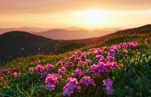 Nature and mountain background. Majestic Carpathians. Beautiful landscape. Breathtaking view photo