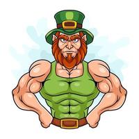 Cartoon leprechaun on white background vector