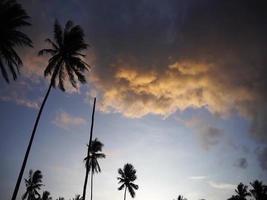 puesta de sol en la playa con cocoteros y nubes nubladas. video