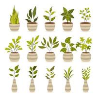 Set of Potted House Plant vector